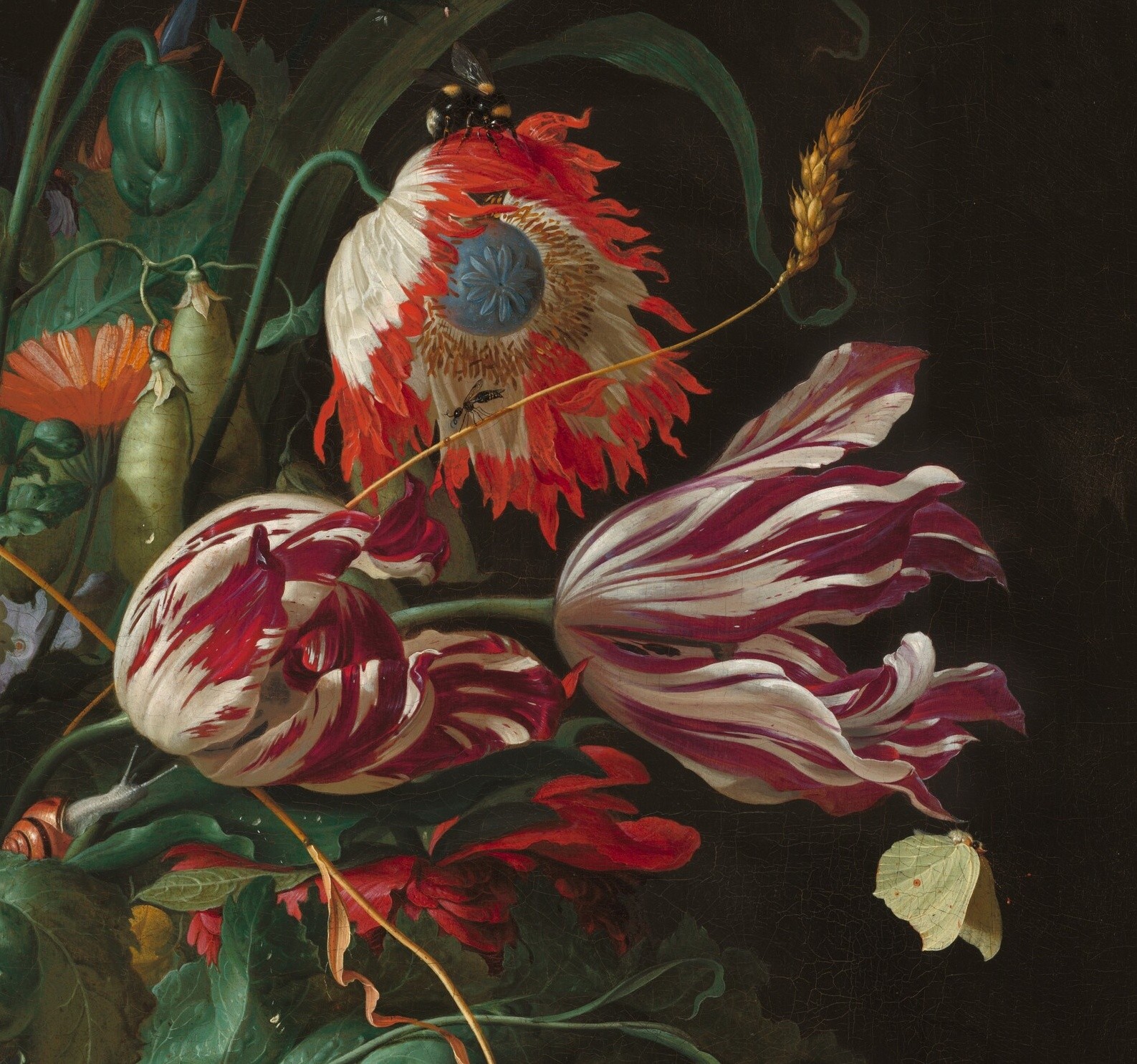 Detail of Jan Davidsz de Heem’s Vase of Flowers: a bee on a red-and-white poppy, two flamed tulips and a pale brimstone butterfly against a dark ground.